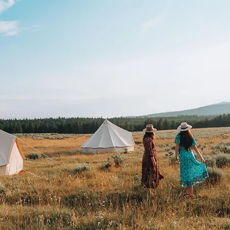 Yellowstone Glamping